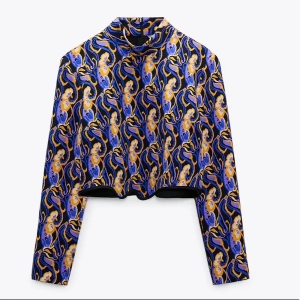 Zara Printed Asymmetric Hem Crop Top